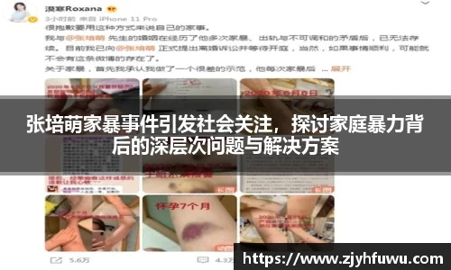 张培萌家暴事件引发社会关注，探讨家庭暴力背后的深层次问题与解决方案